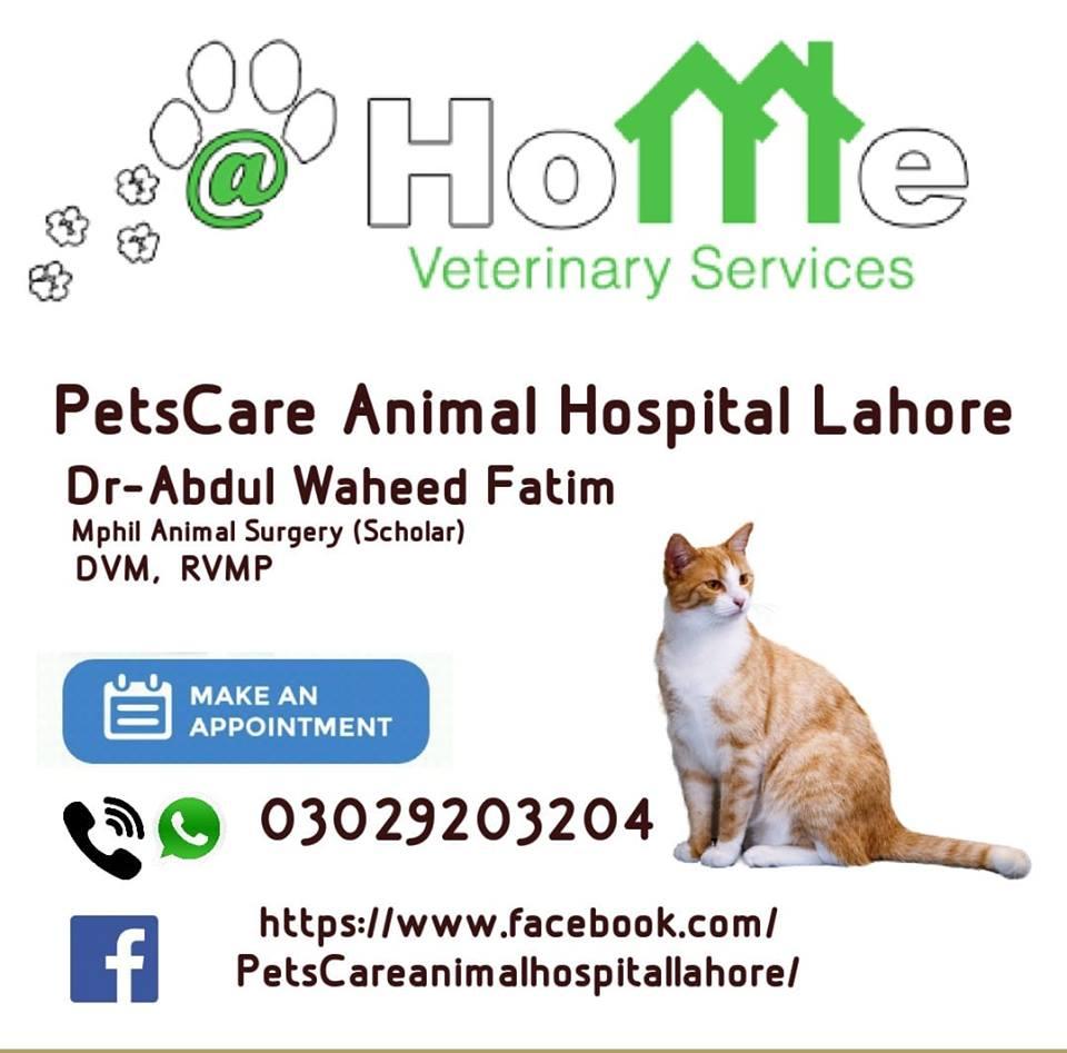 Home Service Veterinary  Lahore