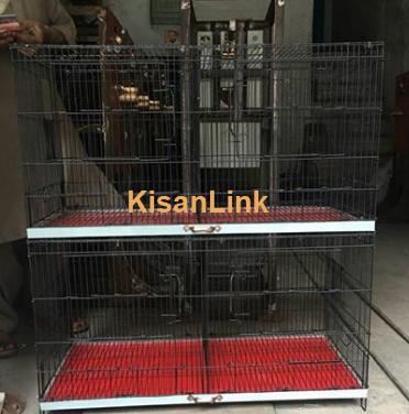 cage for Australian finch jawa and dove