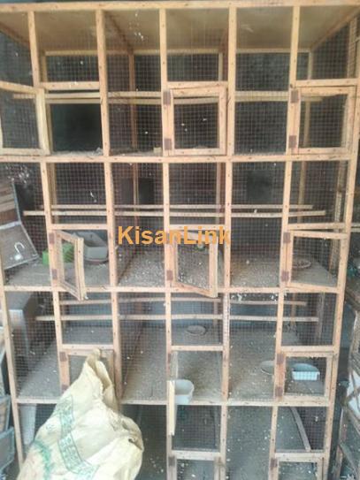 Cage for sale loction sabzazar p block lahore