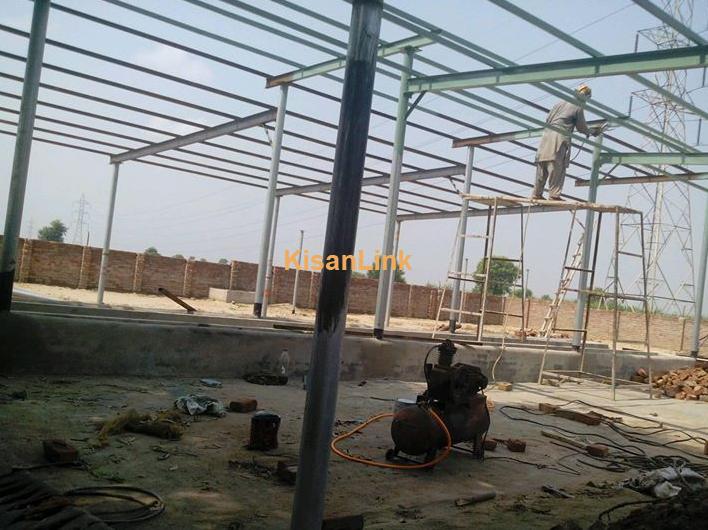 construction of all types dairy shed.