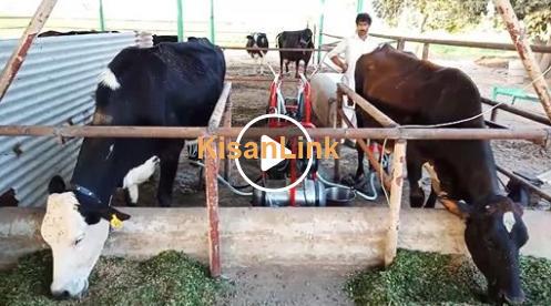 Greenland Zone milking machine with electronic pulsator..