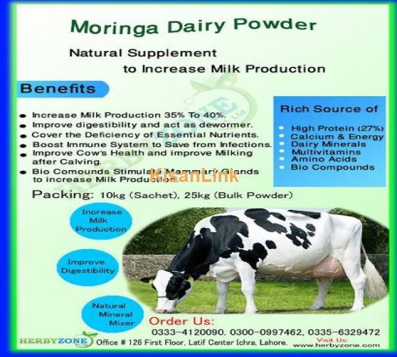 Morinaga Dairy Powder