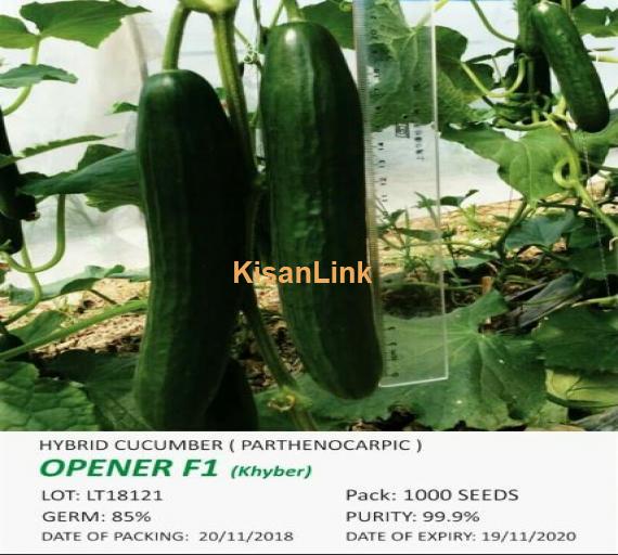 Fruits and vegetable  Seeds for sale