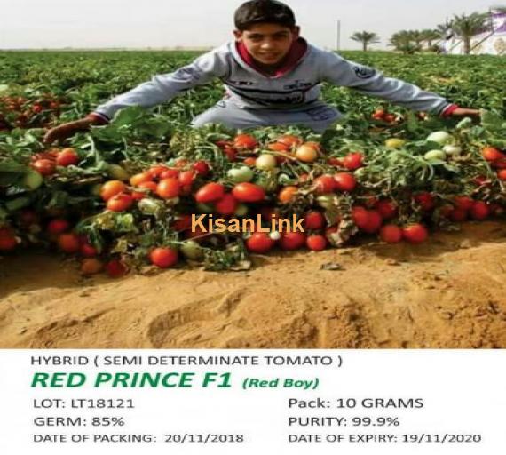 Fruits and vegetable  Seeds for sale