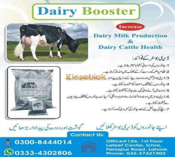 Dairy Booster for sale