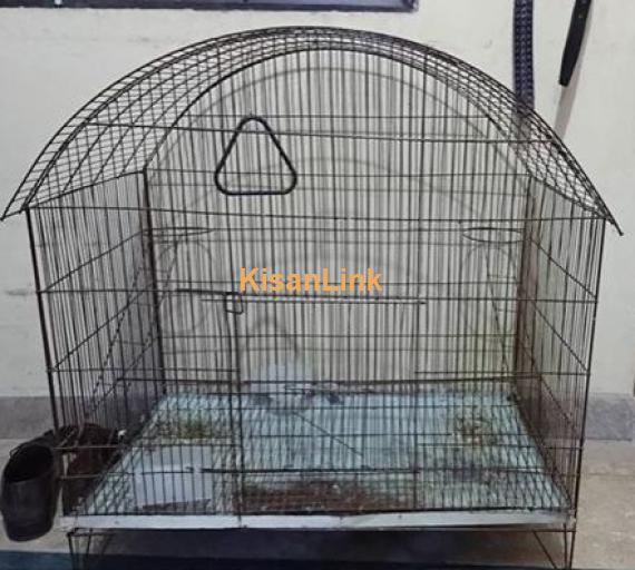 Big cage 3 feet height for sale