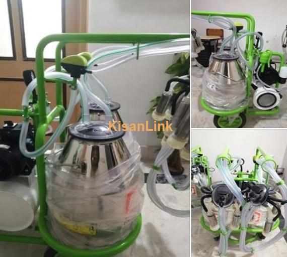 Double milking machine for sale