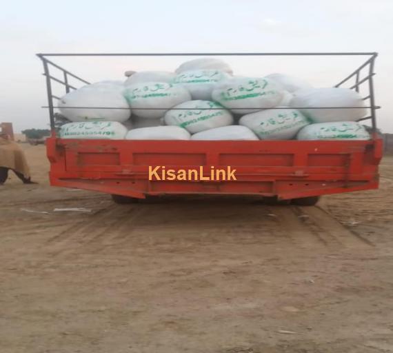 Fresh Silage For Sale