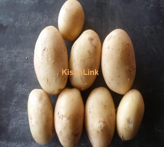 Quality Potatoes For Export
