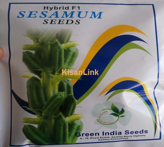Sesamum Seeds Hybrid F1 (TH-06 تلی)