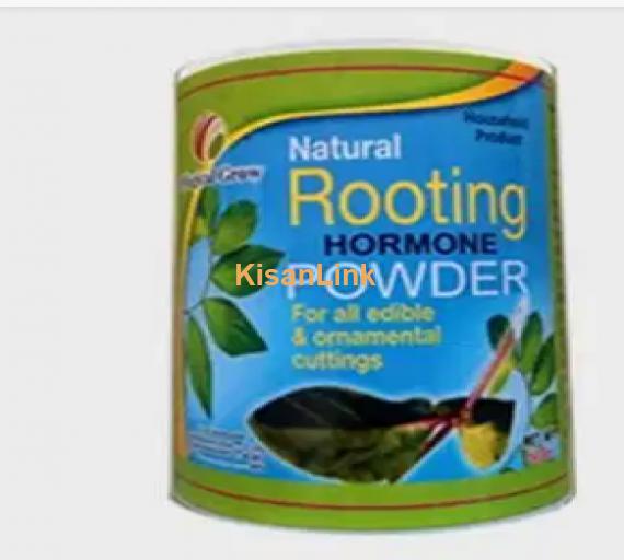 hormone rooting powder