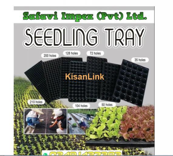 Seeding Tray
