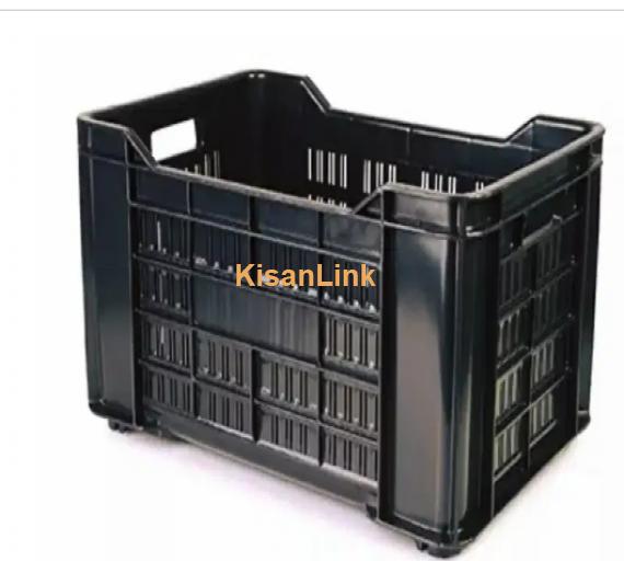 Plastic Shel (Crates) for Tomatoes