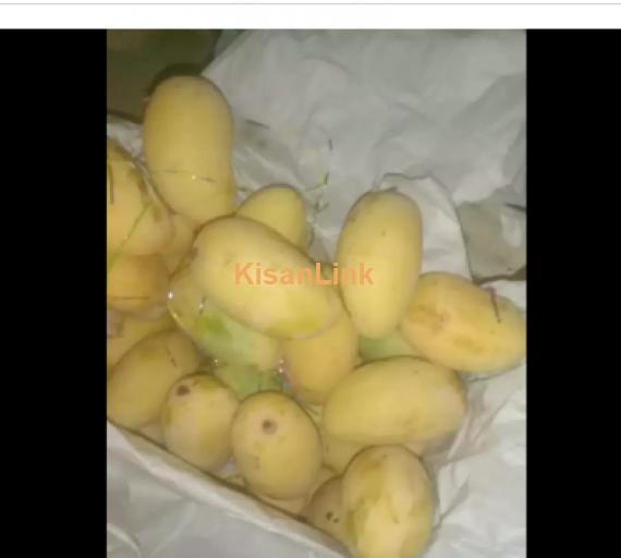 Mangoes For Sale