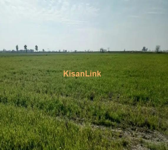 8 killa Acer Zameen Zari Raqba Agriculture Land Use Forming Factory