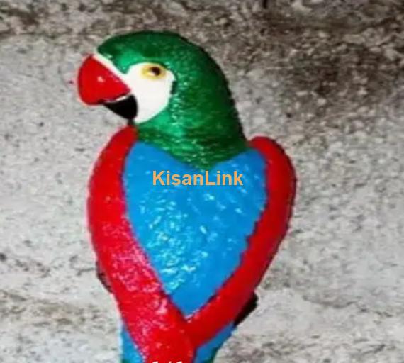 Royal handicraft parrot