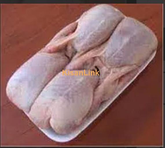 Fresh frozen quail meat available in Karachi