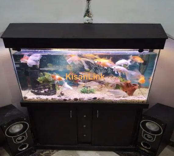 Fish Aquarium 2 X 3ft Complete Setup