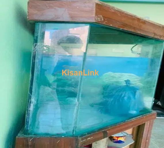 Fish Aquarium for sale urgent