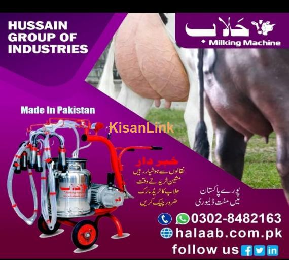 Milking machine for cow