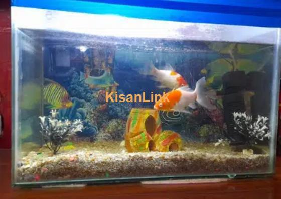 Aquarium shop for sale best sale