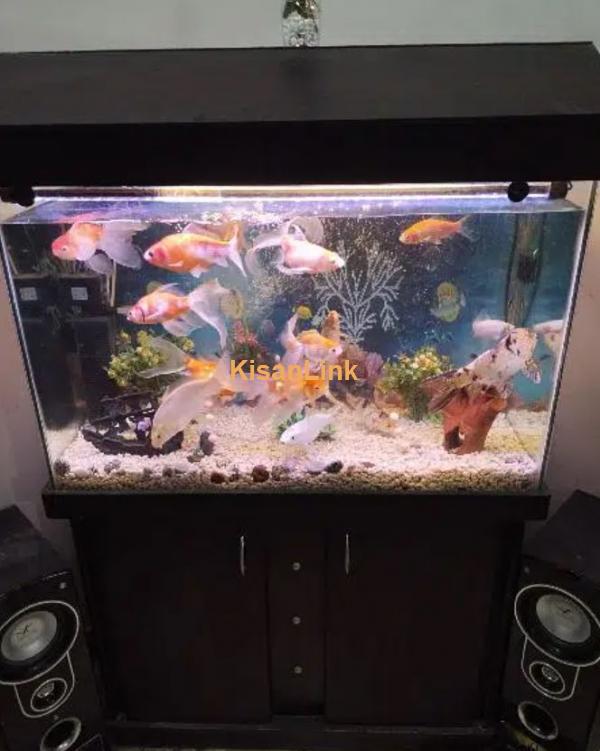 Aquarium shop near me prices hotsell