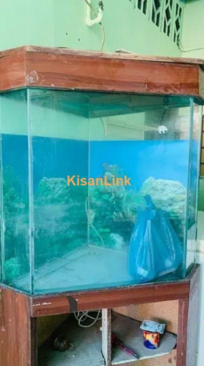 Fish Aquariums for sale in Pakistan Kisanlink